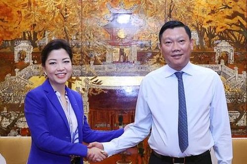 Hà Nội tạo điều kiện cho Tập đoàn Airbus tăng cường hợp tác đầu tư
