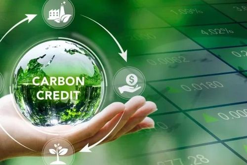 Net Zero và cơ hội tái cấu trúc nền kinh tế Việt Nam