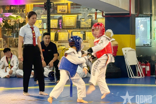 Hợp tác phát triển taekwondo giữa Việt Nam và Hàn Quốc