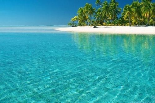 Bảo vệ biển phải bắt đầu từ đất liền
