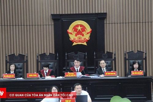 Người có tiền án trộm cắp, tiếp tục phạm tội: Tái phạm hay phạm tội 2 lần trở lên?
