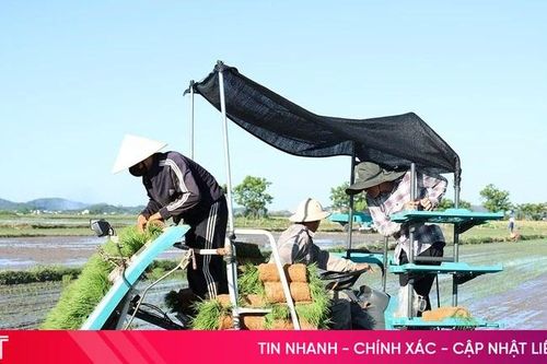 Triển khai đồng bộ các giải pháp, thực hiện hiệu quả kế hoạch sản xuất hè thu