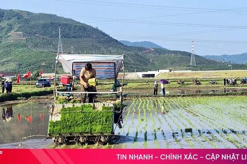 Lần đầu tiên nông dân Kỳ Xuân cấy lúa bằng máy và làm mạ khay