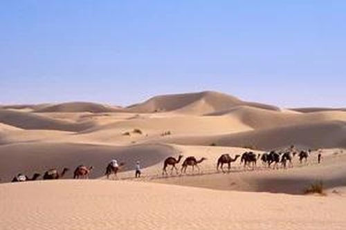 Niger: Gần 50 người chết giữa sa mạc Sahara