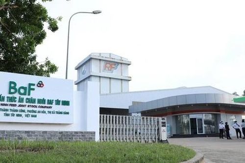 BAF chốt quyền phát hành cổ phiếu tỉ lệ 20%, chuẩn bị huy động thêm 1.200 tỷ đồng