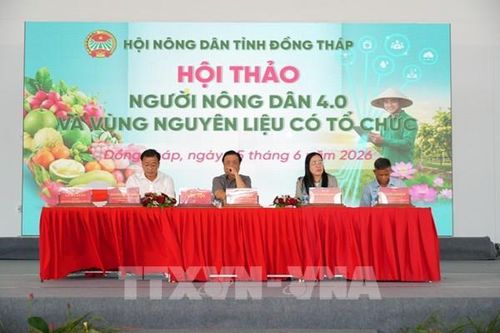 Đồng Tháp xây dựng vùng nguyên liệu tập trung phục vụ xuất khẩu