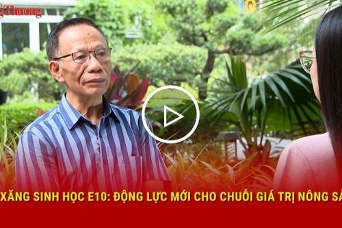 Xăng sinh học E10: Động lực mới cho chuỗi giá trị nông sản