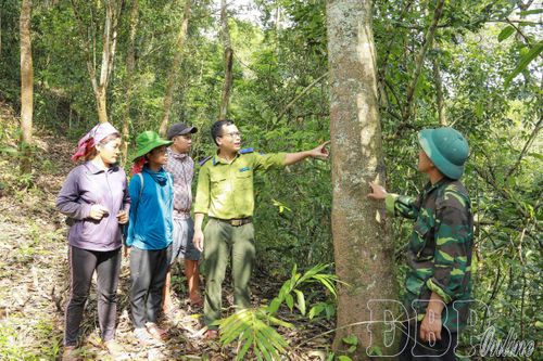 Gìn giữ kho báu sinh học nơi cực Tây Tổ quốc