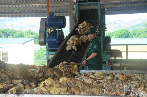 Doanh nghiệp với trách nhiệm bảo vệ môi trường