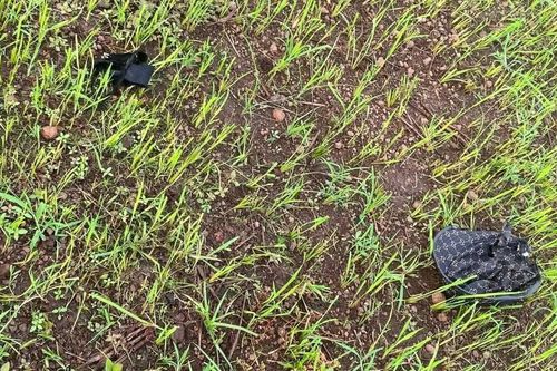 Chư Pưh: Nữ sinh đi chăn bò thuê bị sét đánh tử vong
