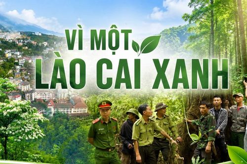 Vì một Lào Cai xanh