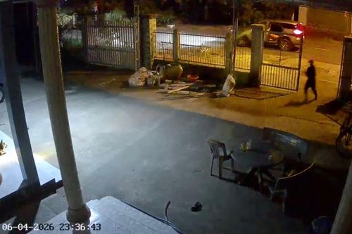 Truy xét nhóm đối tượng lái ô tô đi trộm chó ở TP.HCM
