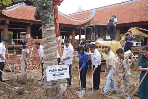 Trồng cây xanh, vun đắp những giá trị hòa nhập bền vững