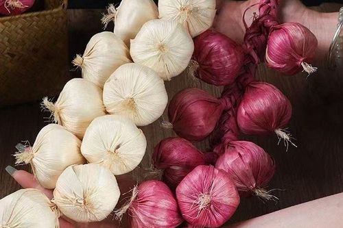 Cách bảo quản hành tỏi khô cả năm không mọc mầm, không mốc hỏng