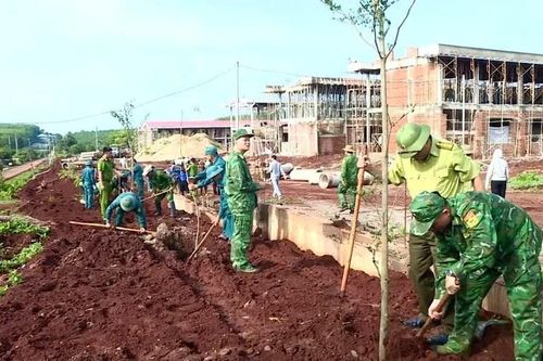 Gia Lai: Chung tay phủ xanh vùng biên hưởng ứng Ngày Môi trường thế giới