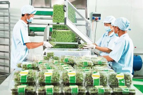 Gắn mã truy xuất nguồn gốc giúp minh bạch thị trường
