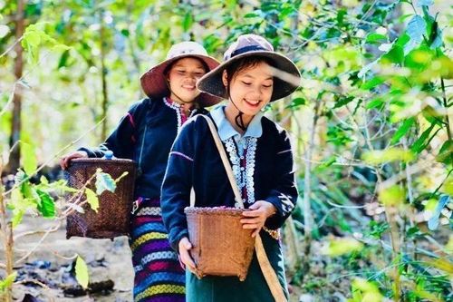Phụ nữ-chủ thể quan trọng trong phát triển kinh tế số và kinh tế xanh