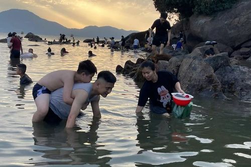 Chiều hè, phụ huynh Đà Nẵng đưa con ra biển lội rêu, bắt ốc