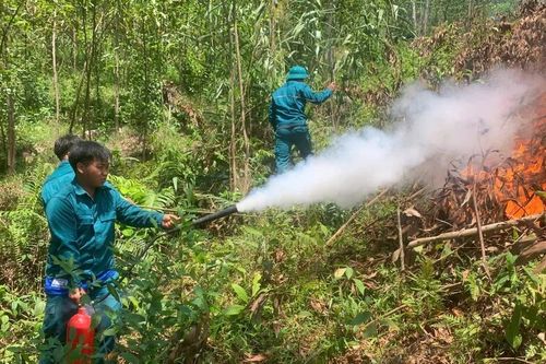 Đốt thực bì giữa nắng nóng, lửa cháy lan đồi keo