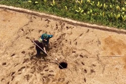 'Hố tử thần' xuất hiện giữa đồng, Chủ tịch Cao Bằng chỉ đạo khẩn