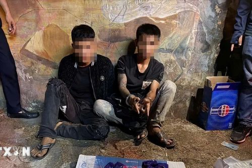 Quảng Trị: Bắt giữ vụ vận chuyển ma túy lớn từ Lào về Việt Nam