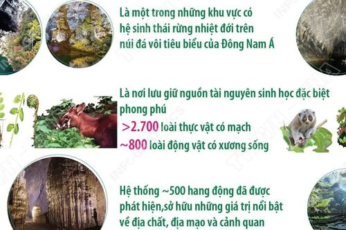 Phong Nha-Kẻ Bàng được vinh danh Khu Dự trữ sinh quyển thế giới