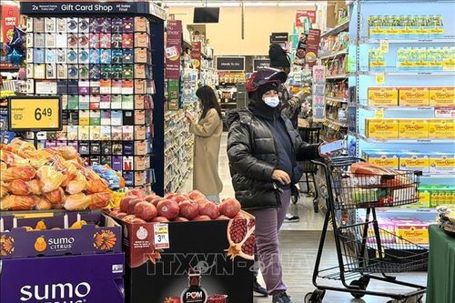 Vay nợ tiêu dùng tại Mỹ tăng mạnh nhất kể từ năm 2022