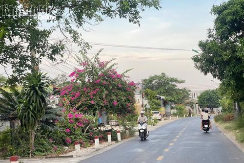 Con đường chia sẻ yêu thương