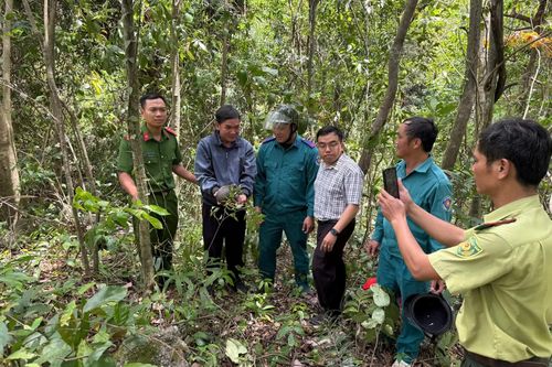 Công an xã Lâm Sơn phối hợp thả 1 cá thể tê tê Java về rừng tự nhiên
