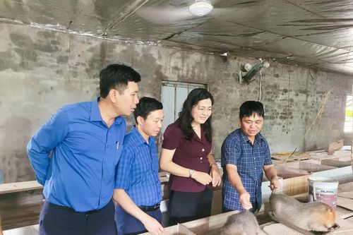 Hội Nông dân tỉnh Khánh Hòa tìm hiểu mô hình kinh tế nông nghiệp tại tỉnh Bắc Ninh