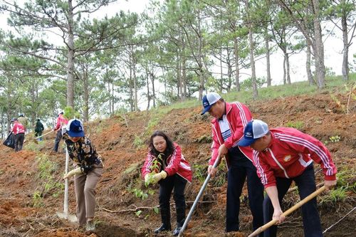 Phó Bí thư Tỉnh ủy Phạm Thị Phúc dự và phát động phong trào 'Toàn dân chung tay bảo vệ môi trường' tại phường Xuân Trường - Đà Lạt