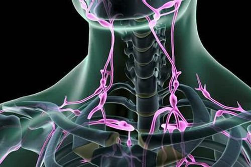 Hệ bạch huyết là gì mà được nhiều người quan tâm trong chăm sóc sắc đẹp?