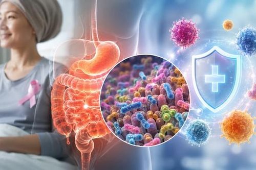 Vì sao bệnh nhân ung thư cần quan tâm đến sức khỏe đường ruột?