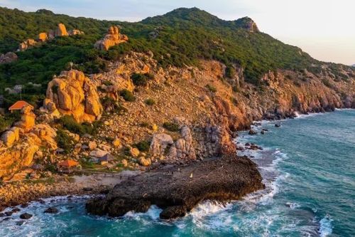 Chấn chỉnh trekking, camping ở Vườn Quốc gia Núi Chúa - Phước Bình