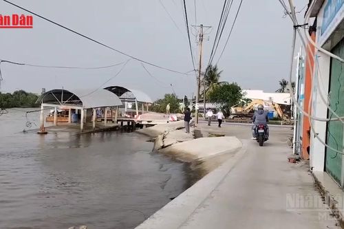 [Video] Cà Mau: Sạt lở, sụt lún đất diễn biến phức tạp, nhiều tuyến giao thông bị ảnh hưởng