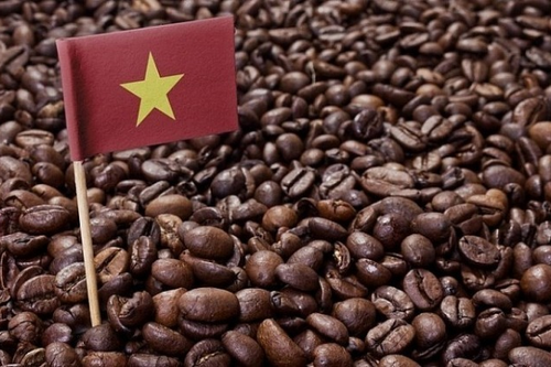 Bản tin nông sản hôm nay (7-6): Giá cà phê tiếp tục giảm
