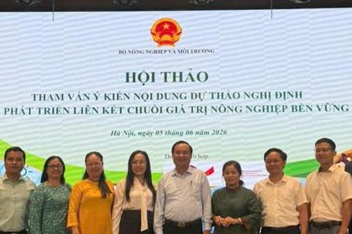 Đề xuất nhiều giải pháp để phát triển chuỗi giá trị nông nghiệp xanh bền vững