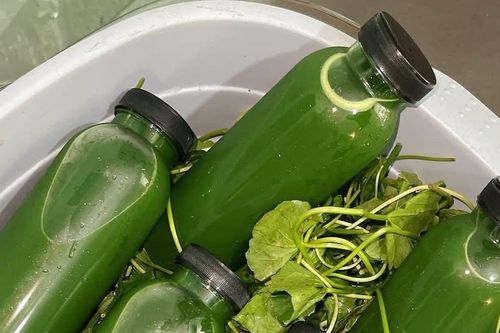 Uống nước rau má rất tốt nhưng đại kỵ với 3 nhóm người