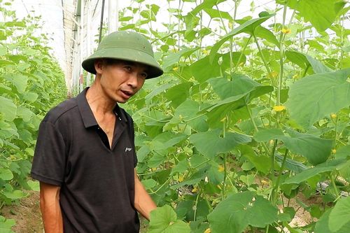 Bỏ việc lương 50 triệu ở Hà Nội, kỹ sư chi 10 tỷ về quê làm điều ít ai dám