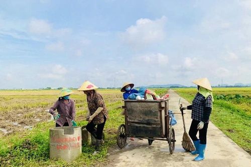 Cánh đồng không rác thải
