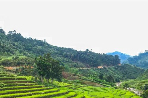 Gian nan đời ruộng bậc thang