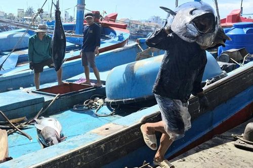 Những chuyến tàu cập cảng ăm ắp niềm vui