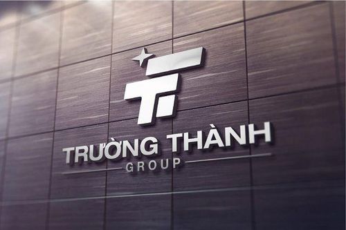 Trường Thành (TTA) bị HoSE nhắc nhở, tiền mặt 'bốc hơi' hơn 80% sau 3 tháng