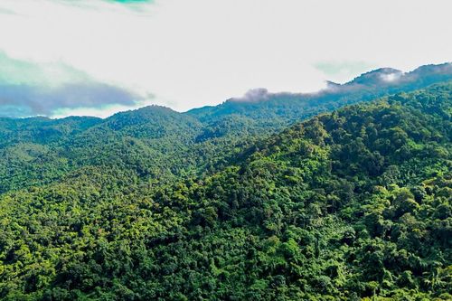 Văn minh sinh thái và thước đo mới của phát triển