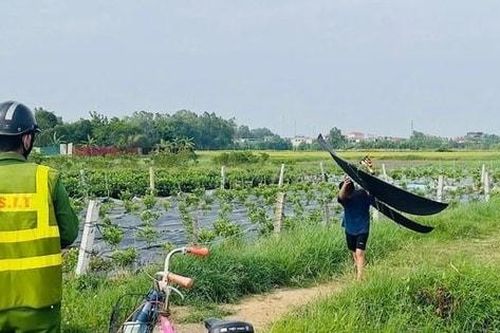 7 chuyến bay bị ảnh hưởng do phi công phát hiện có diều tại Nội Bài