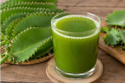 10 tác dụng của nước ép lá bỏng đối với sức khỏe