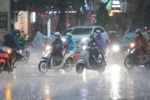 Hà Nội đón mưa vàng giải nhiệt