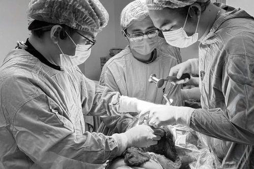 Nỗ lực cứu đôi chân cho bệnh nhân ung thư phổi giai đoạn cuối di căn xương