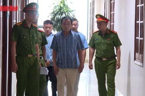 [Video] Thanh Hóa khởi tố đối tượng mua lợn bệnh bán ra thị trường