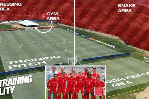 Đội tuyển Thụy Sĩ cảnh báo về rắn độc tại nơi tập luyện World Cup 2026